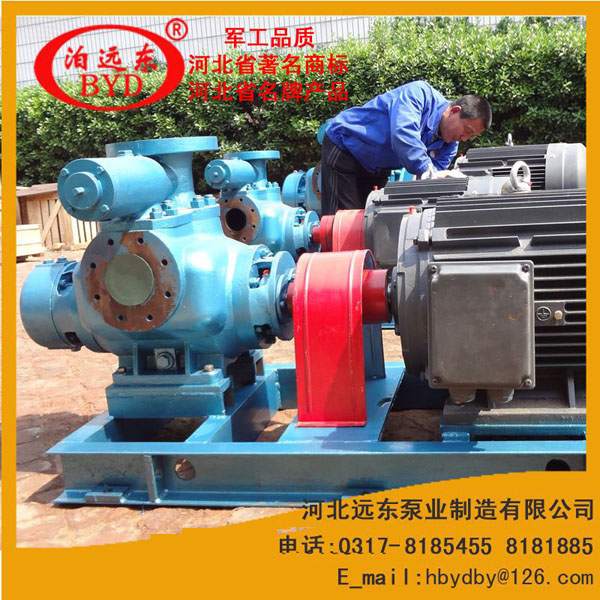 雙螺杆泵(beng)