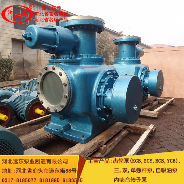 雙螺(luó)杆泵