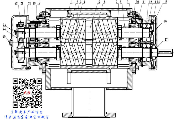 雙螺(luó)杆泵結構圖