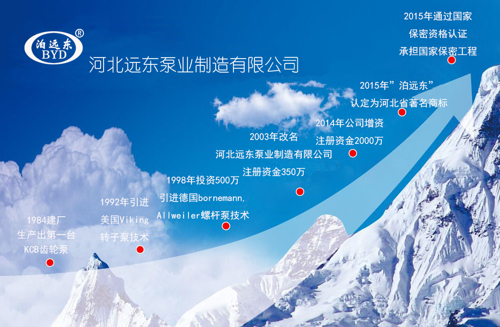 芜湖韦纳计(ji)算机设备集(ji)团發展曆程(cheng)